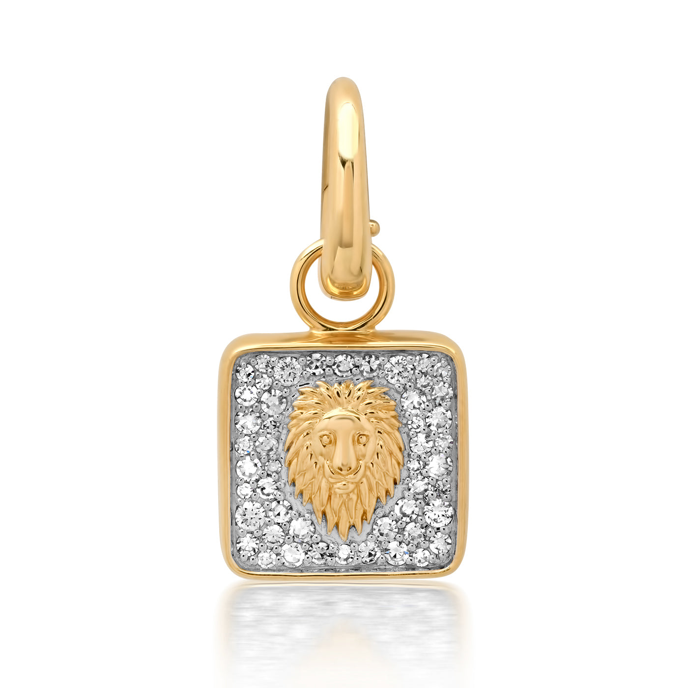 14K Yellow Gold Leo Pendant