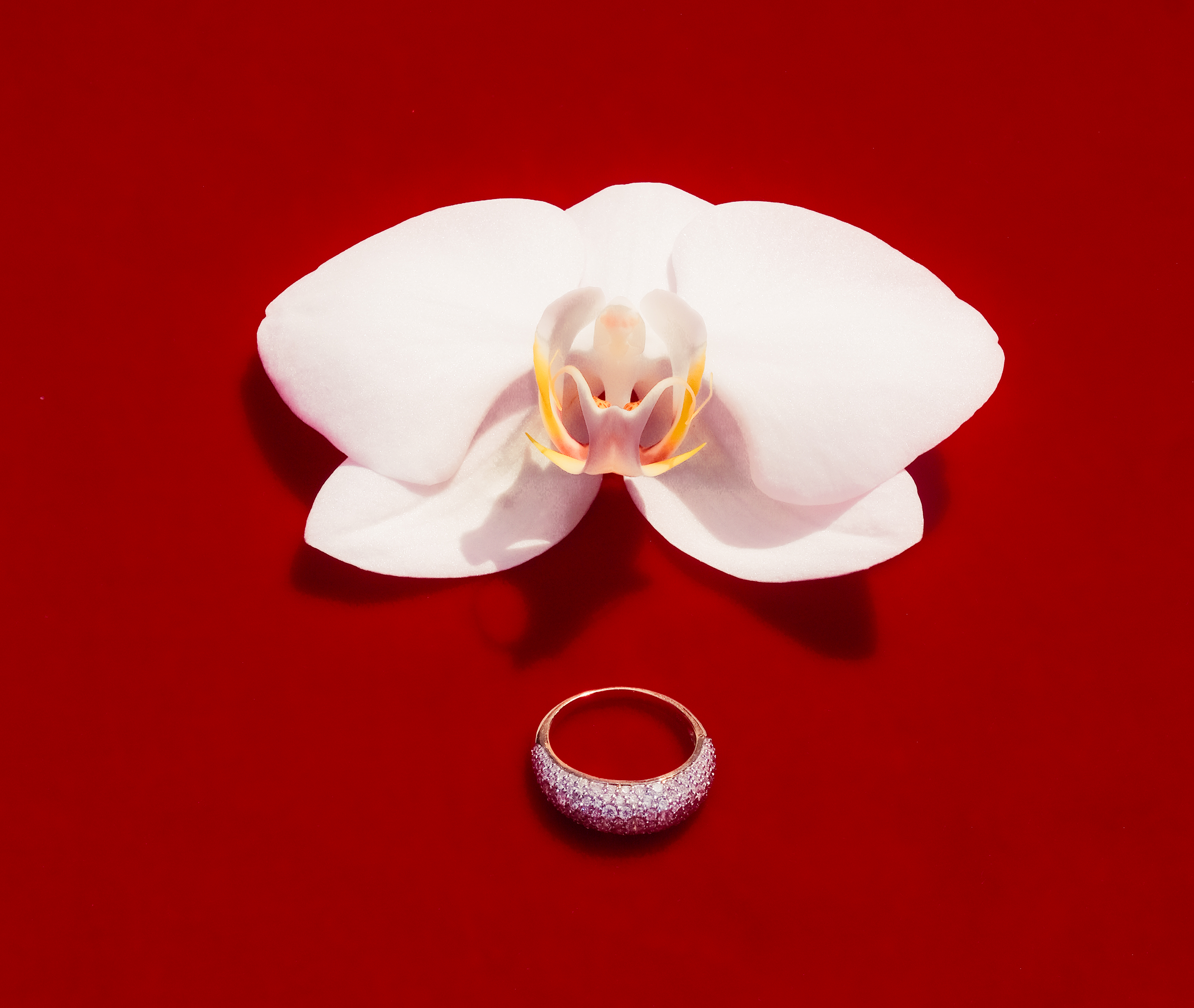 25% off sitewide and 50% off  The Archive