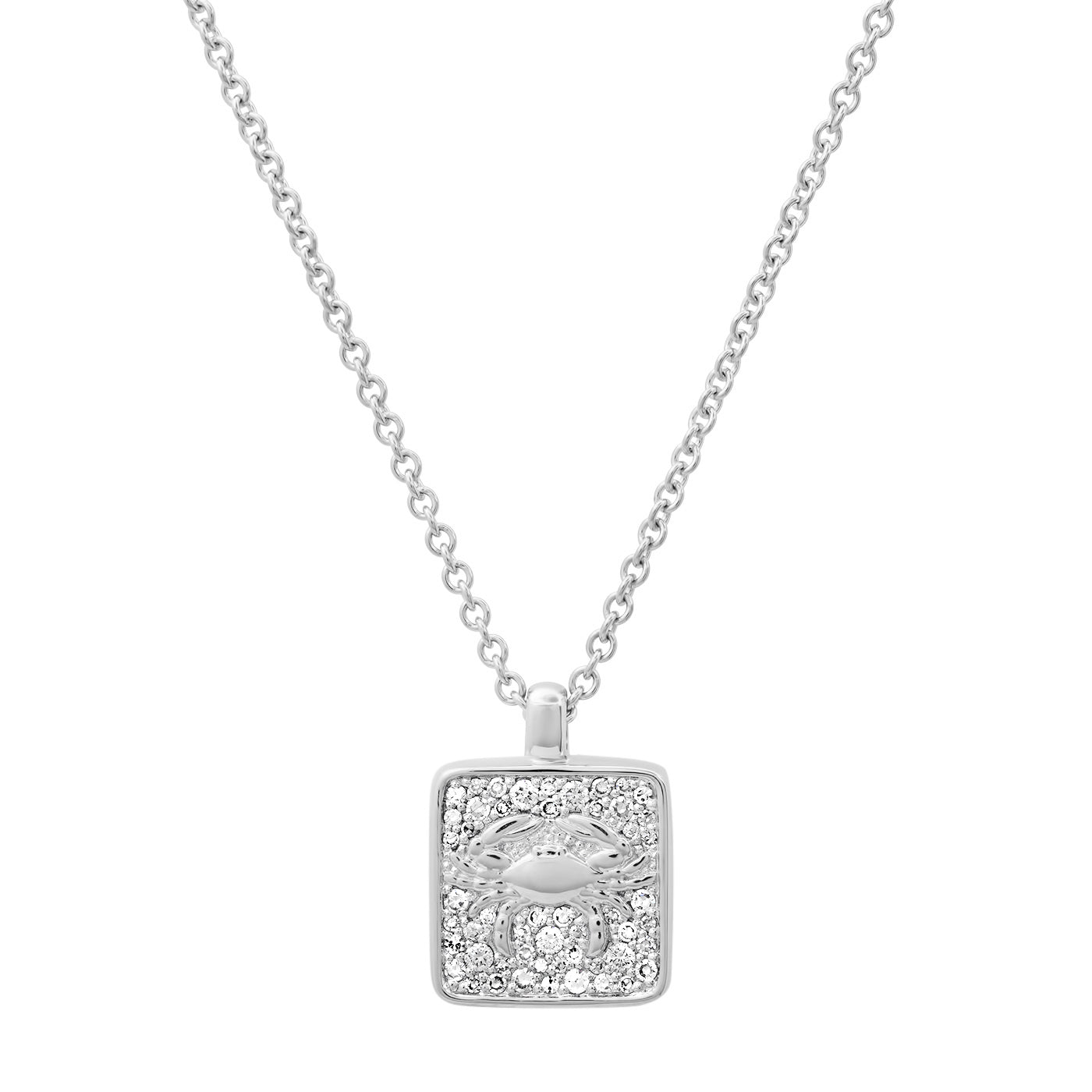 14K White Gold Cancer Necklace