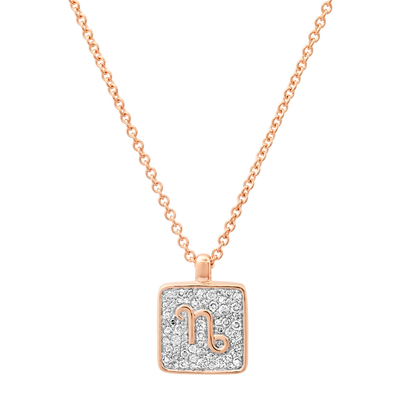 14K Rose Gold Capricorn Necklace