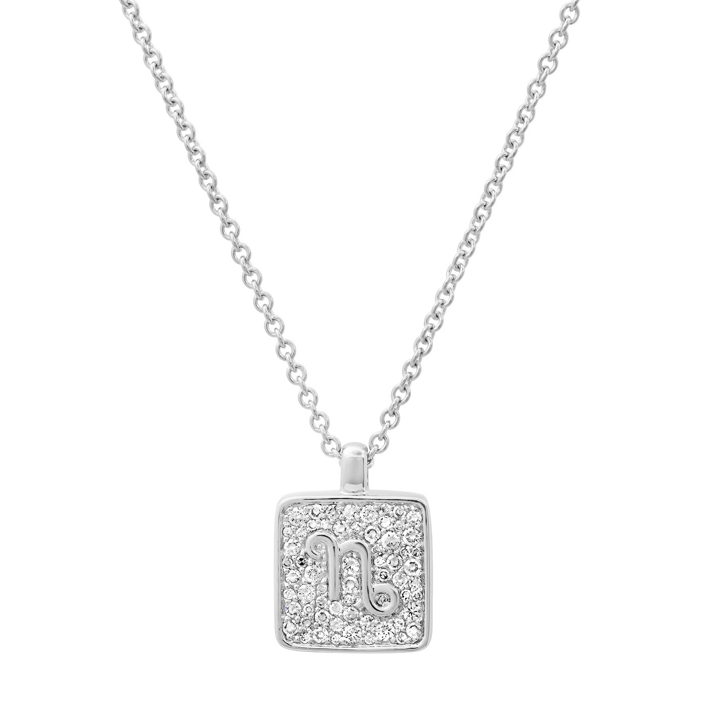 14K White Gold Capricorn Necklace