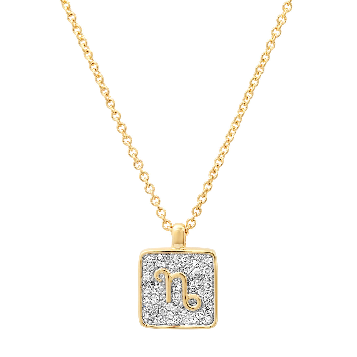 14K Yellow Gold Capricorn Necklace