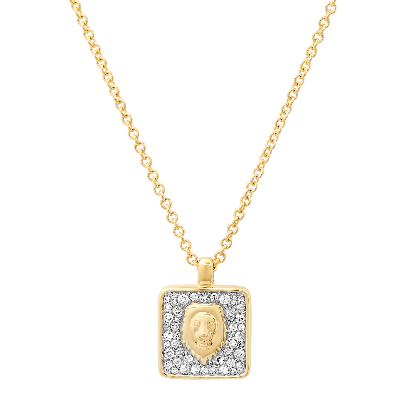 14K Yellow Gold Leo Necklace